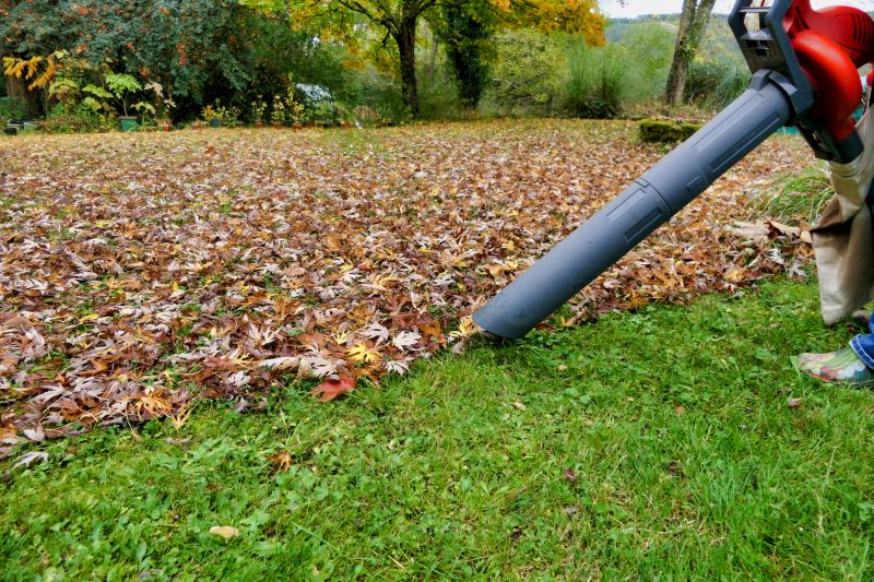 Efficient Leaf Collection