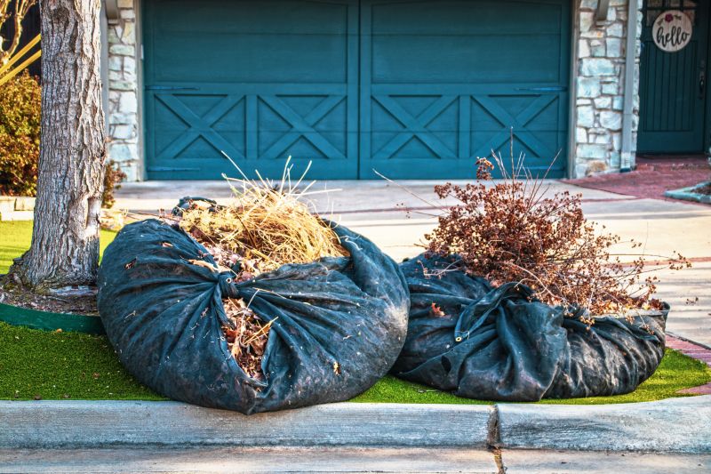 Yard After Leaf Removal