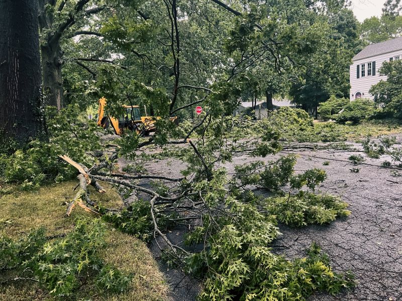 Clearing Debris from Driveway