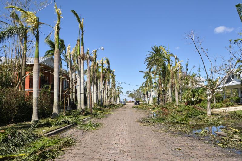Commercial Property Tree Clearance