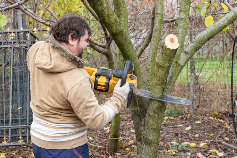 Tree Removal Service detail
