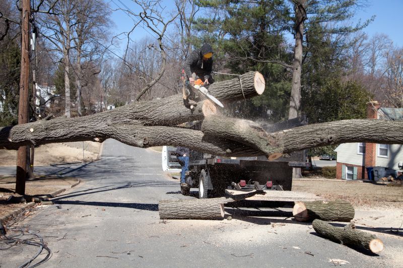Assessing Tree Structure
