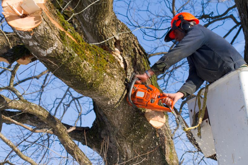 Safety Gear and Precautions