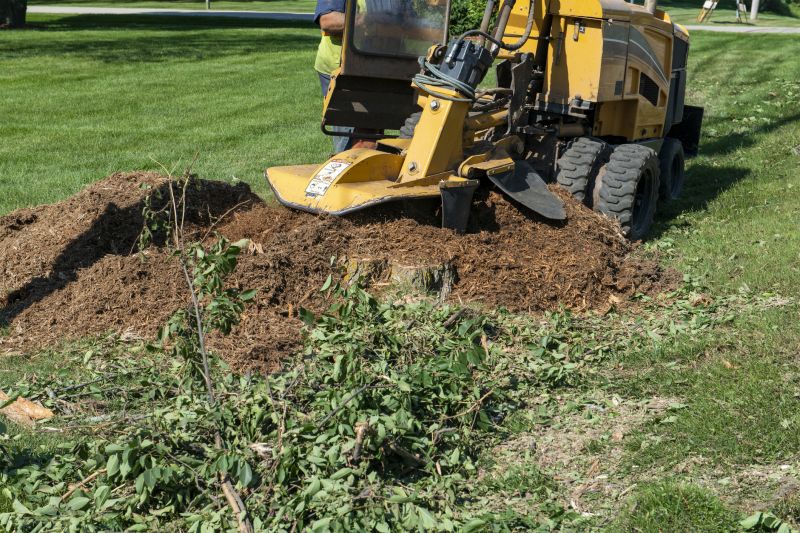 Stump Grinding Equipment